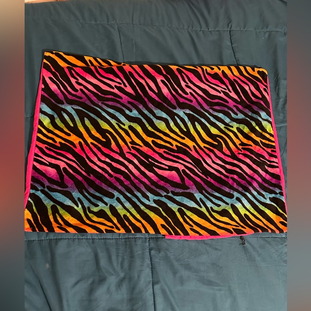 rainbow pillow case with zebra stripes